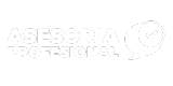 Asesoría profesional